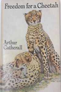 Image of Freedom for a Cheetah